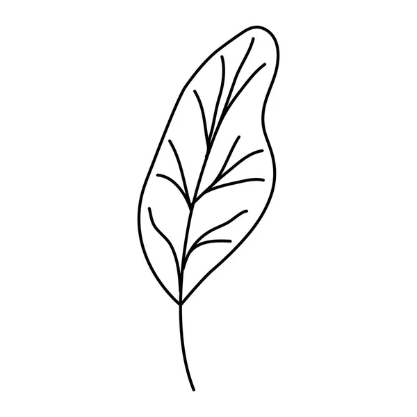 Folha ícone de ecologia de plantas —  Vetores de Stock