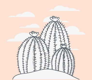 deniz sünger yosun sahne