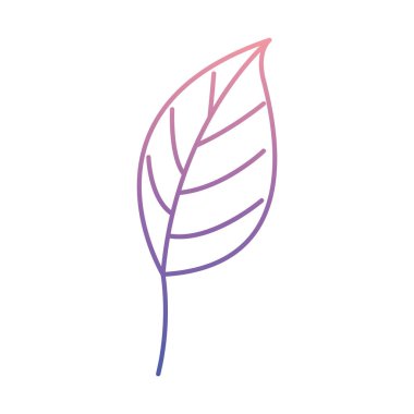 yaprak bitki ekoloji simgesi