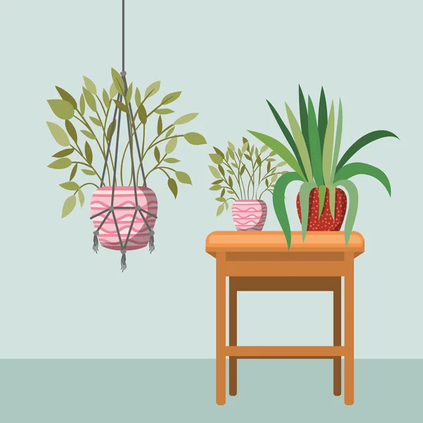 Kamerplanten in macrame hangers en houten stoel — Stockvector