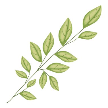 Yaprak ekoloji simgesine sahip dal