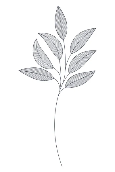 Gałęzie z wyizolowaną ikoną liści — Wektor stockowy