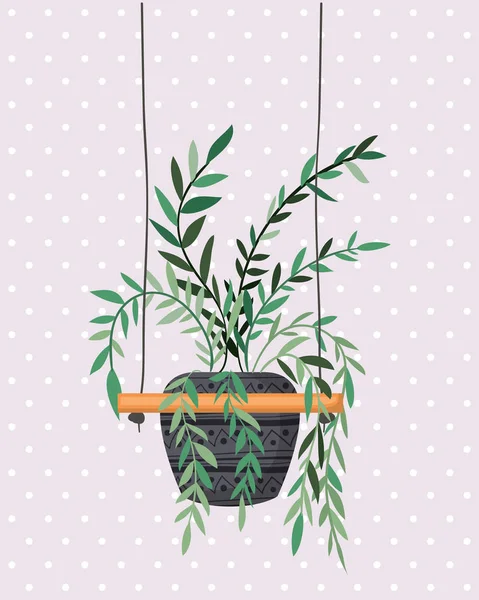 马德拉梅衣架内的室内植物 — 图库矢量图片