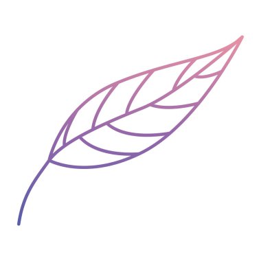 yaprak bitki ekoloji simgesi