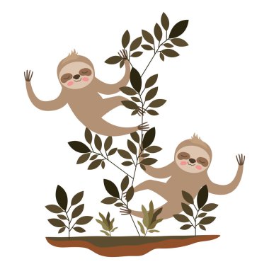 Vahşi miskinler ormanda bir çift