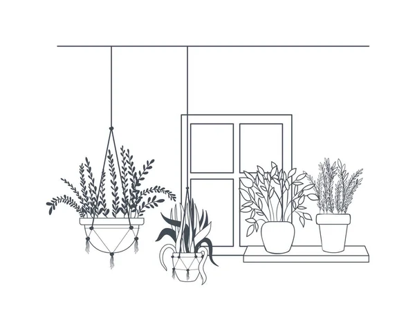 Zimmerpflanzen auf Makramidenbügeln — Stockvektor