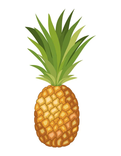 Piña fruta fresca icono — Archivo Imágenes Vectoriales