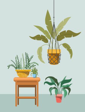 macrame askıları ve ahşap sandalye de houseplants