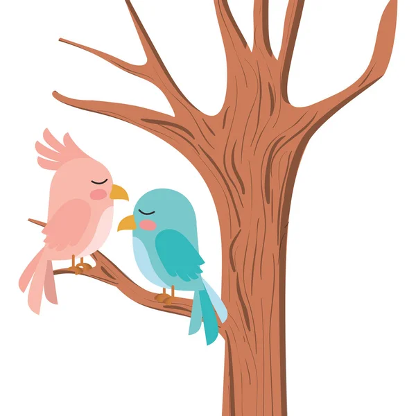 Cute birds couple in tree — Stock Vector