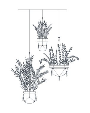 macrame askıları simgesi üzerinde houseplants