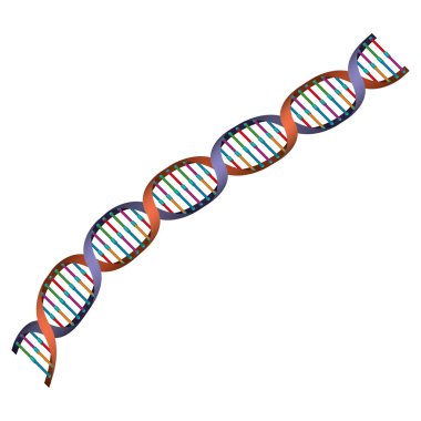 diyagonal dna zinciri bilim renkli simgesi