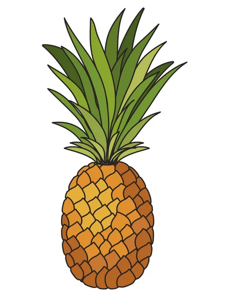 Ananas fruits frais icône — Image vectorielle