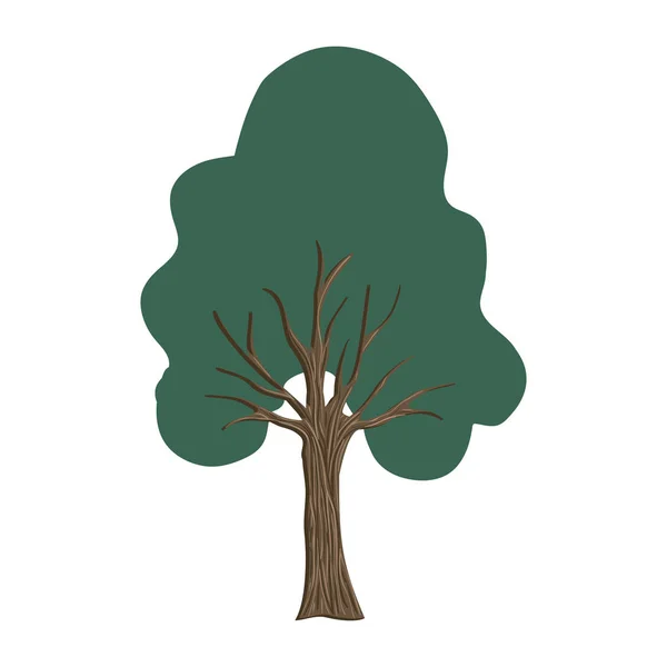 Albero pianta natura icona — Vettoriale Stock