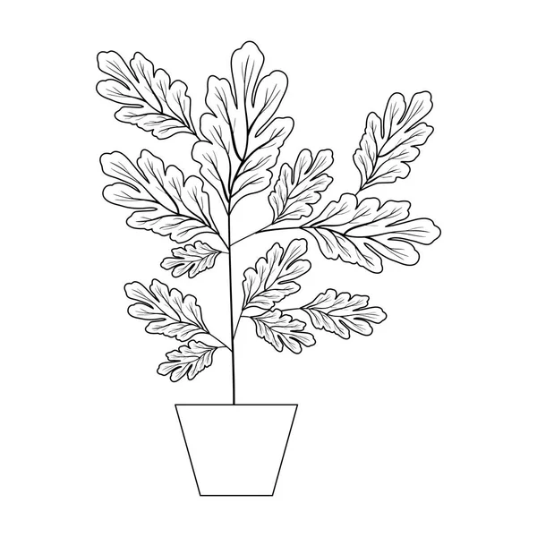 Domovní rostlina s ozdobnou dekorační ikonou — Stockový vektor