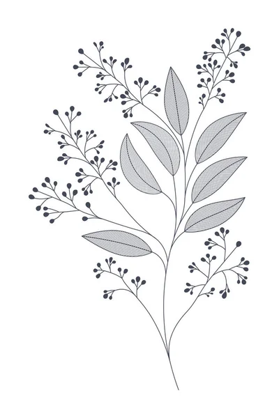 Branches avec des feuilles icône isolée — Image vectorielle