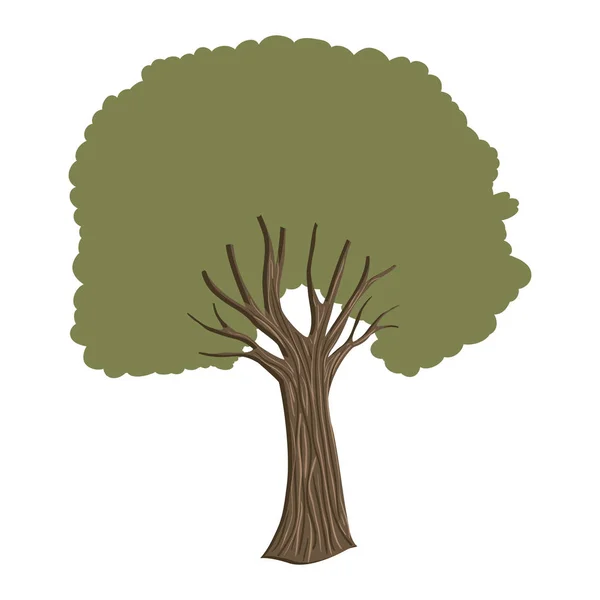 Ağaç bitki doğa simgesi — Stok Vektör