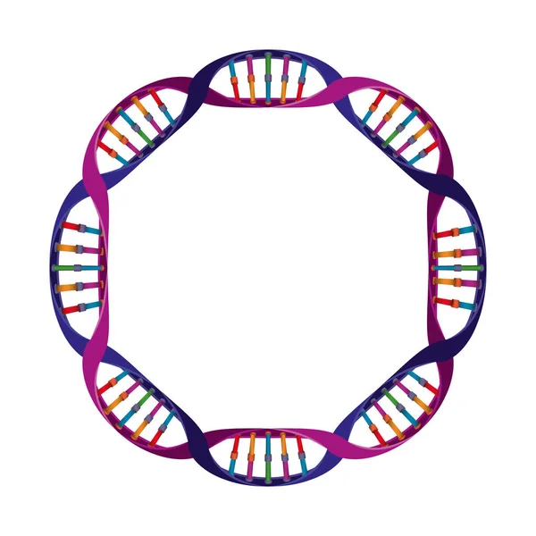 Circular dna chain science colorful icon — Stock Vector