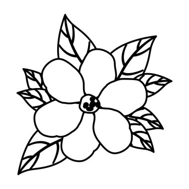 güzel çiçek ve Leafs Bahçe