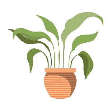 saksı izole simgesi ile houseplant