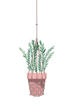 macrame askıları simgesi üzerinde houseplant