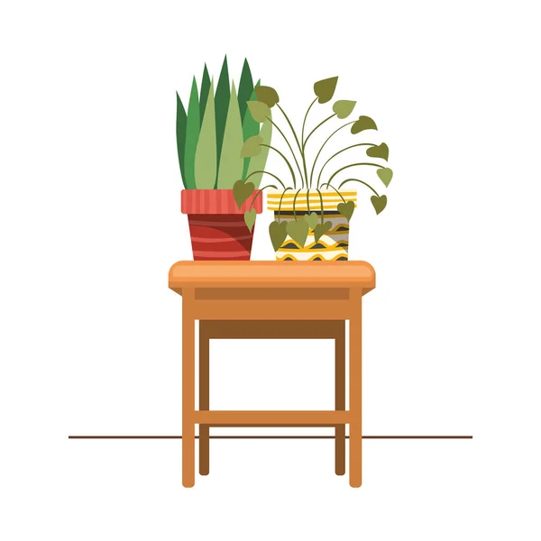 Plantas de sala com vaso na mesa — Vetor de Stock