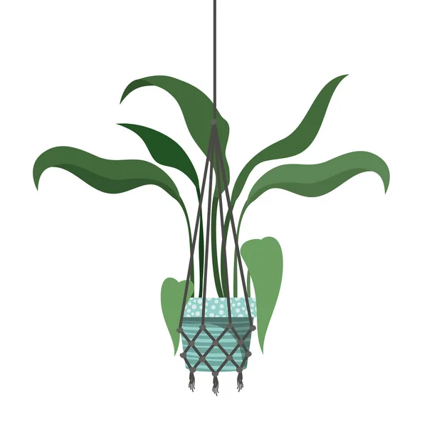 Houseplant sur macrame cintres icône — Image vectorielle