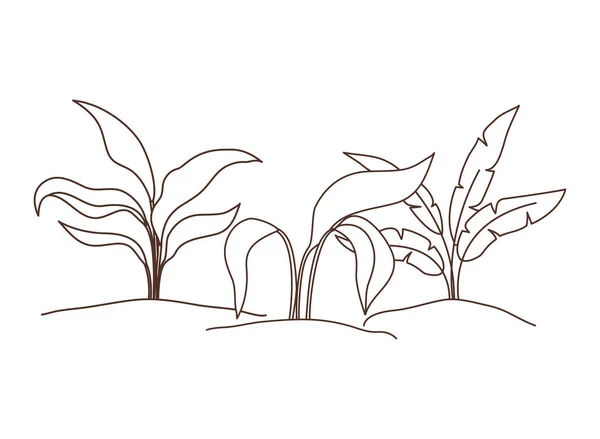 Φυτό σε απομονωμένο οριζόντιο εικονίδιο — Διανυσματικό Αρχείο