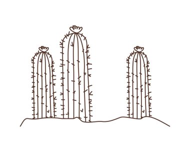 manzara izole simgesinde kaktüs