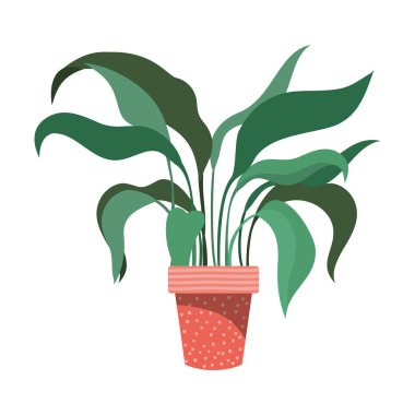 saksı izole simgesi ile houseplant