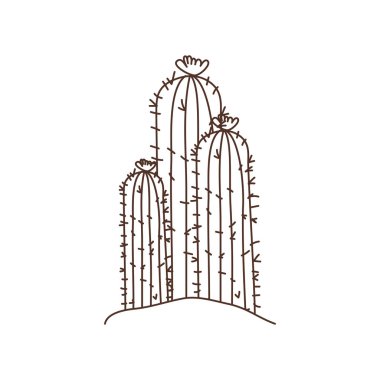 manzara izole simgesinde kaktüs