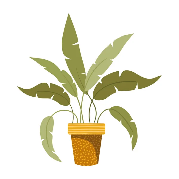 Houseplant with potted isolated icon — Stock Vector