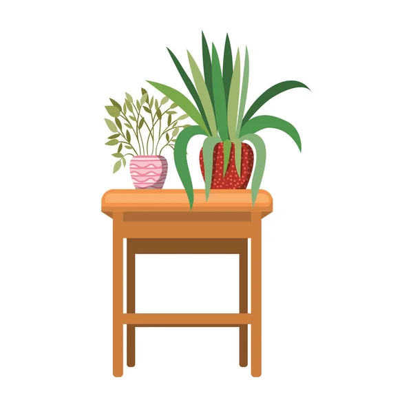 Plantas de sala com vaso na mesa —  Vetores de Stock