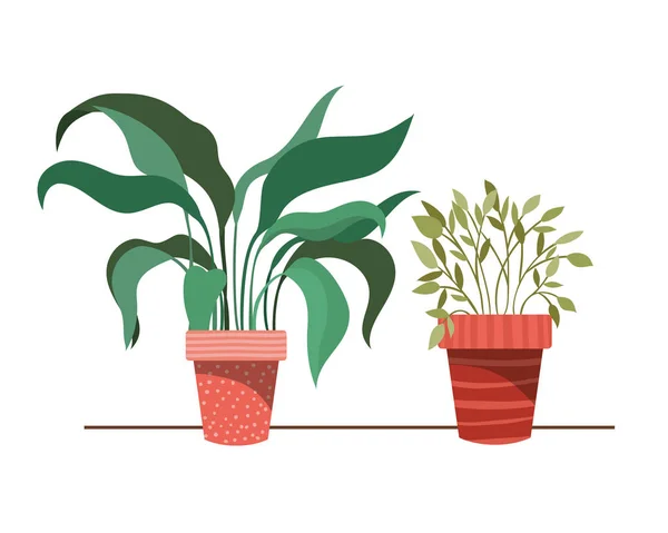 Houseplants with potted isolated icon — Stock Vector