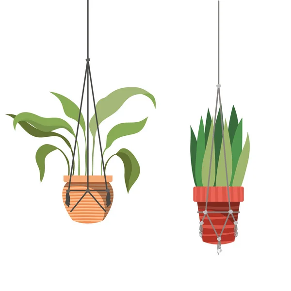 Plantas de interior en macramé perchas icono — Vector de stock