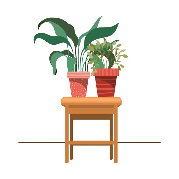 Plantas de sala com vaso na mesa —  Vetores de Stock