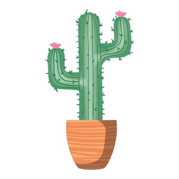 Conjunto de cactos em estilo simples de desenho animado isolado no fundo  branco. cactus em vasos e flores. variedade