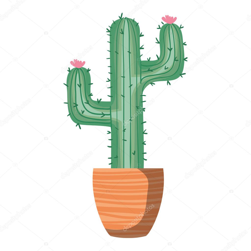 cactus with potted isolated icon