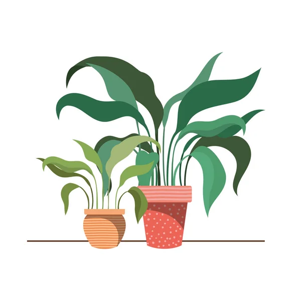 Plantas de sala com ícone isolado em vaso —  Vetores de Stock