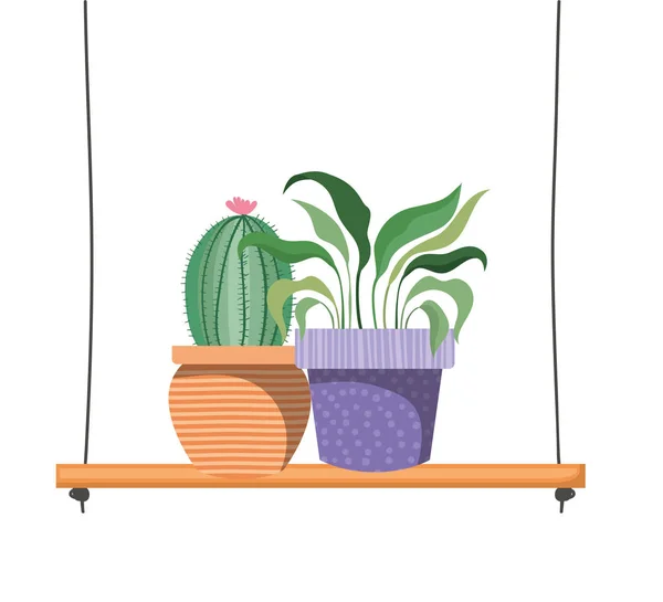 在架子上用盆栽的室内植物，隔离图标 — 图库矢量图片