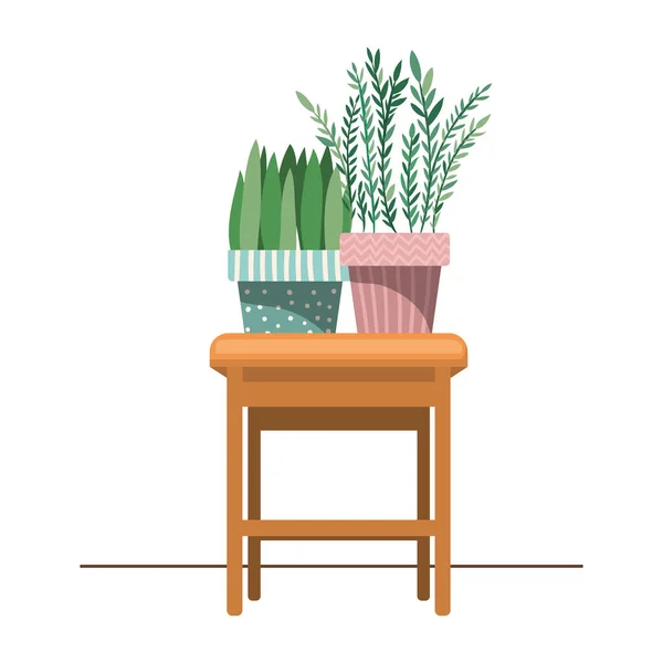 Plantas de sala com vaso na mesa — Vetor de Stock