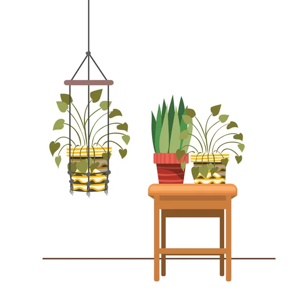 Plantas de sala em cabides macrame e mesa — Vetor de Stock