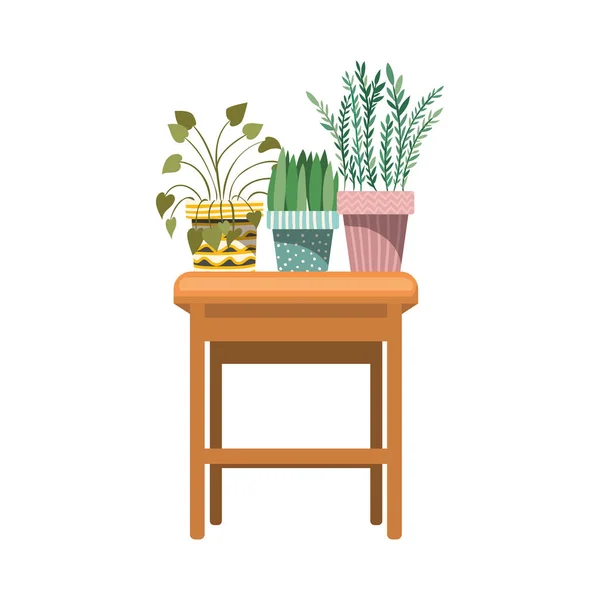 Plantas de sala com vaso na mesa — Vetor de Stock