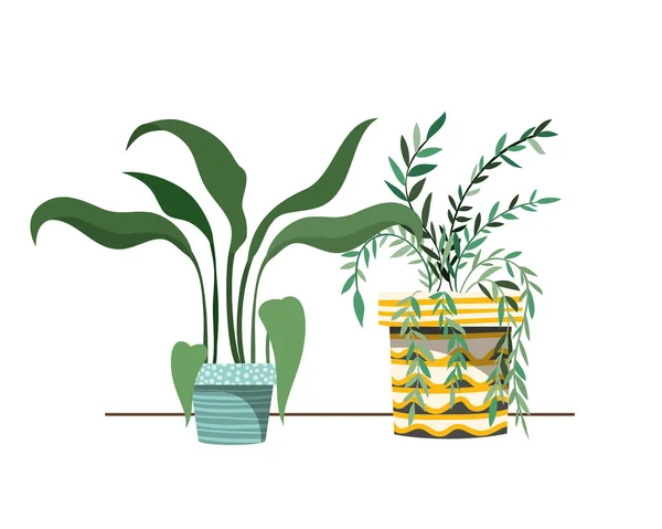 Houseplants with potted isolated icon — Stock Vector