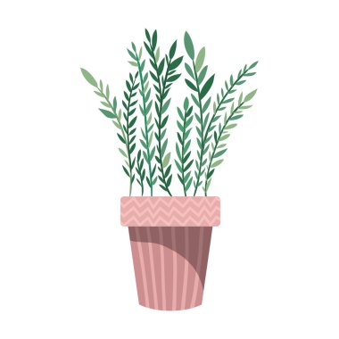 saksı izole simgesi ile houseplant