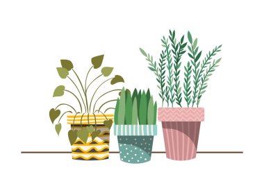 saksı izole simgesi ile houseplants