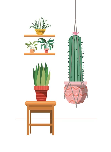 Plantas de sala em cabides macrame e mesa — Vetor de Stock