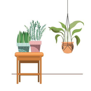 macrame askıları ve masa üzerinde houseplants