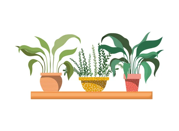 Zimmerpflanzen mit eingetopftem Icon im Regal — Stockvektor