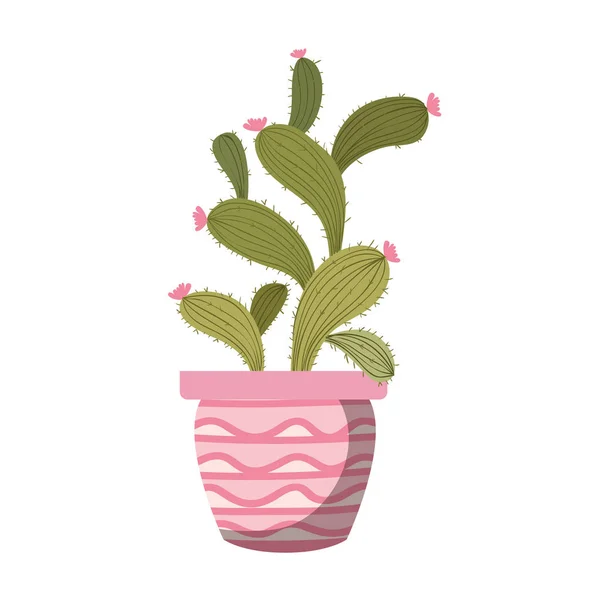 Cactus con icono aislado en maceta — Vector de stock
