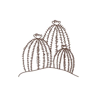 manzara izole simgesinde kaktüs